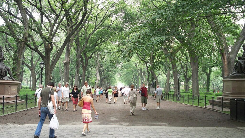 Tree canopy above the Mall and Literary Walk in Central Park
