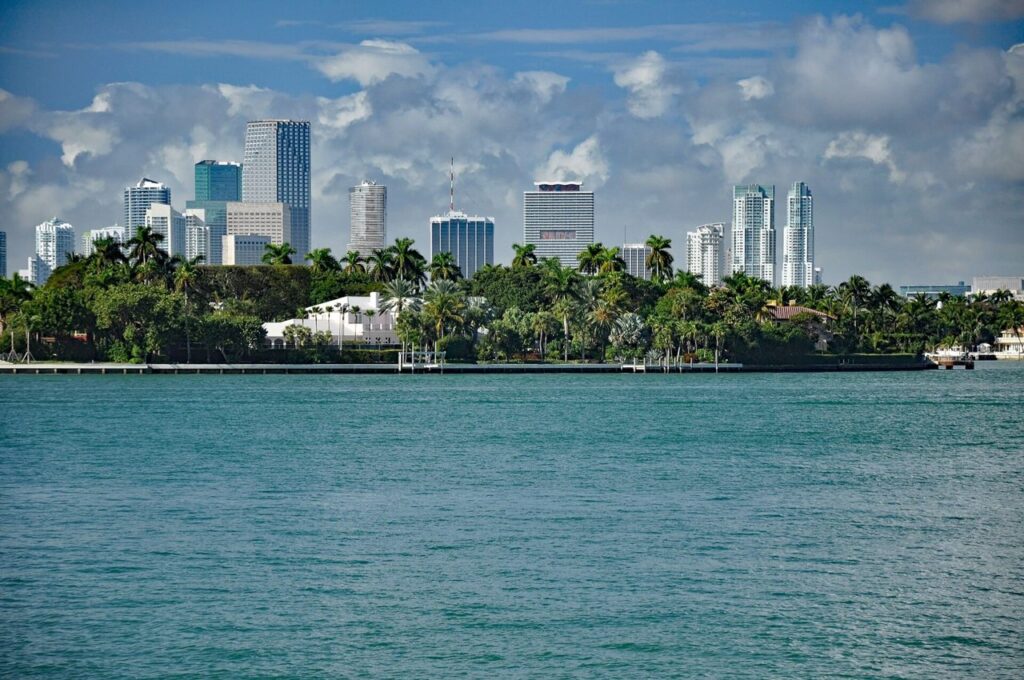 Miami skyline beyond palm trees and Biscayne Bay
