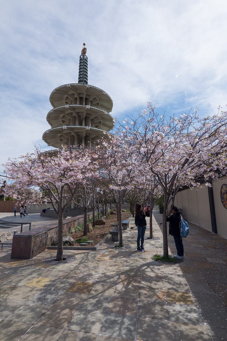 Peace Pagoda and cherry blossoms before the Japantown plaza renovation